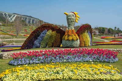 🌸 국영 아카시 해협 공원(고쿠에이 아카시 카이쿄 코엔) 이미지 2